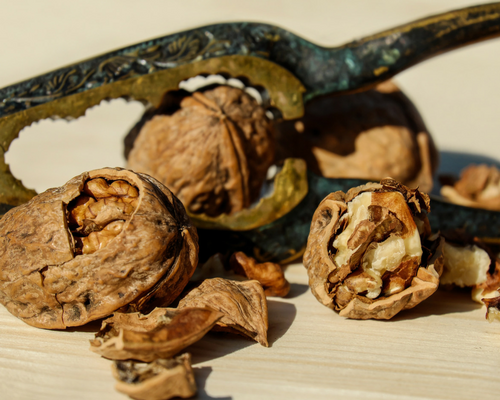 Image of walnuts